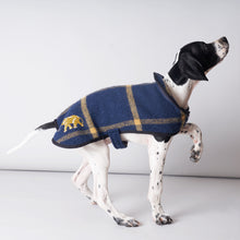 Load image into Gallery viewer, Pure New Wool Dog Coat