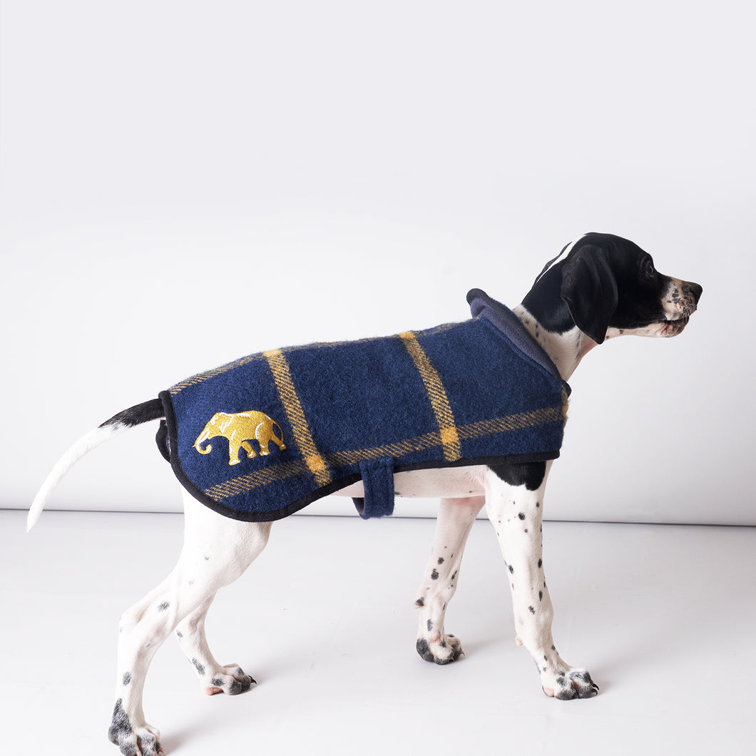 Pure New Wool Dog Coat
